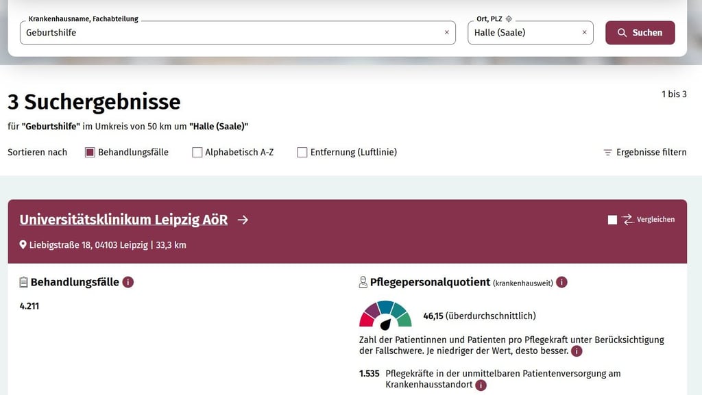 Wer für die „Geburtshile“ in „Halle“ Ergebnisse sucht, bekommt nur drei Treffer - zwei davon in Leipzig.