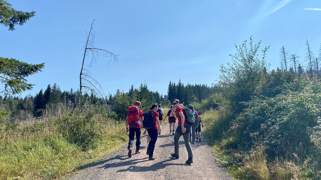 Die Brockenwanderung des Halberstädter Gymnasiums Martineum dient einem guten Zweck. Im vergangenen Jahr führte sie wegen eines Waldbrandes nicht ganz auf den Gipfel, aber dennoch über 43 Kilometer von Halberstadt in den Harz.