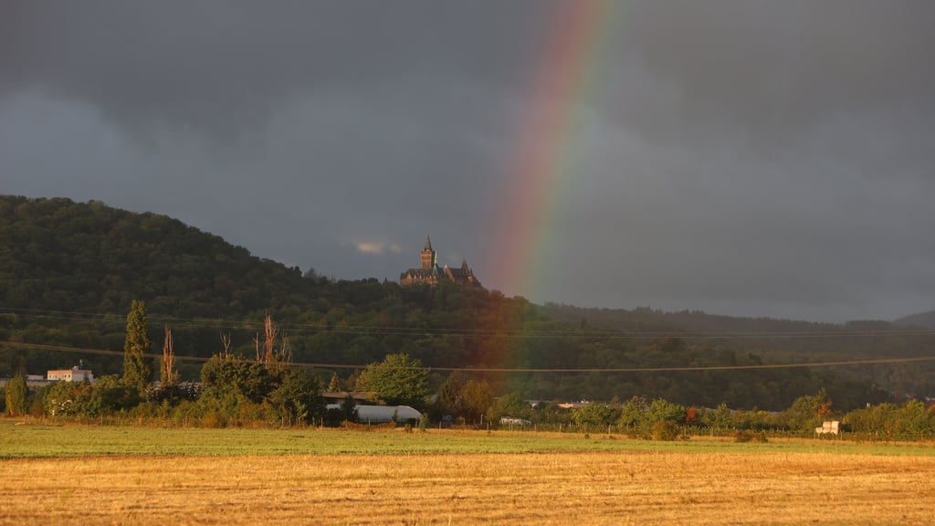 Das Wetter in Sachsen-Anhalt wird in den kommenden Tagen spätsommerlich. Vereinzelt drohen aber auch Gewitter und Starkregen.