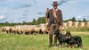 Schäfer Mario Wehlitz aus Brambach ist neuer Landesmeister im Hüten. Unterstützung bei seiner täglichen Arbeit bekommt er von seinen beiden Altdeutschen Hütehunden Karlo und Gitte.