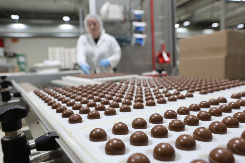 Bereits seit einigen Wochen wird im Wergona-Werk in Wernigerode Schokolade für die Weihnachtszeit produziert.