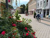 Blick in die Innenstadt von Burg, in der straßenbegleitend Blumenkübel aufgebaut sind.