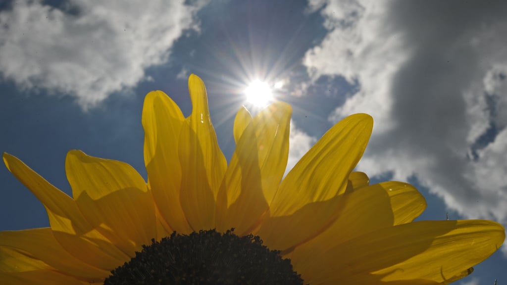Nach der Sonne kommen Regen und Gewitter: Das Wetter zeigt sich in Sachsen-Anhalt im September wechselhaft.