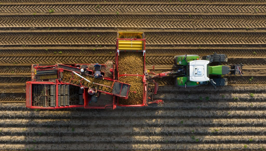 In den nächsten Wochen sind viele landwirtschaftliche Fahrzeuge unterwegs auf den Straßen. (Symbolbild)
