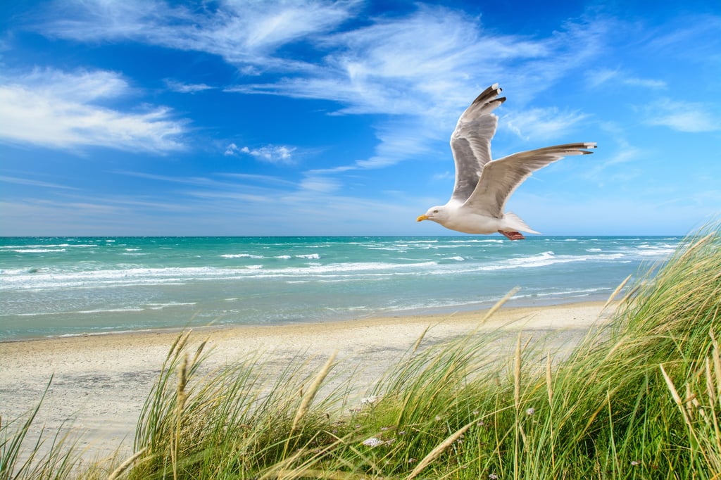So sollte Urlaub aussehen: Hier ein Blick auf die Ostsee.