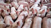 In Niedersachsen werden weniger Schweine gehalten.