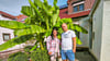 Stefanie Silber und Christian Plamitzer haben riesige Bananenpflanzen im Eigenheim in Merseburg&nbsp;Atzendorf gezüchtet.