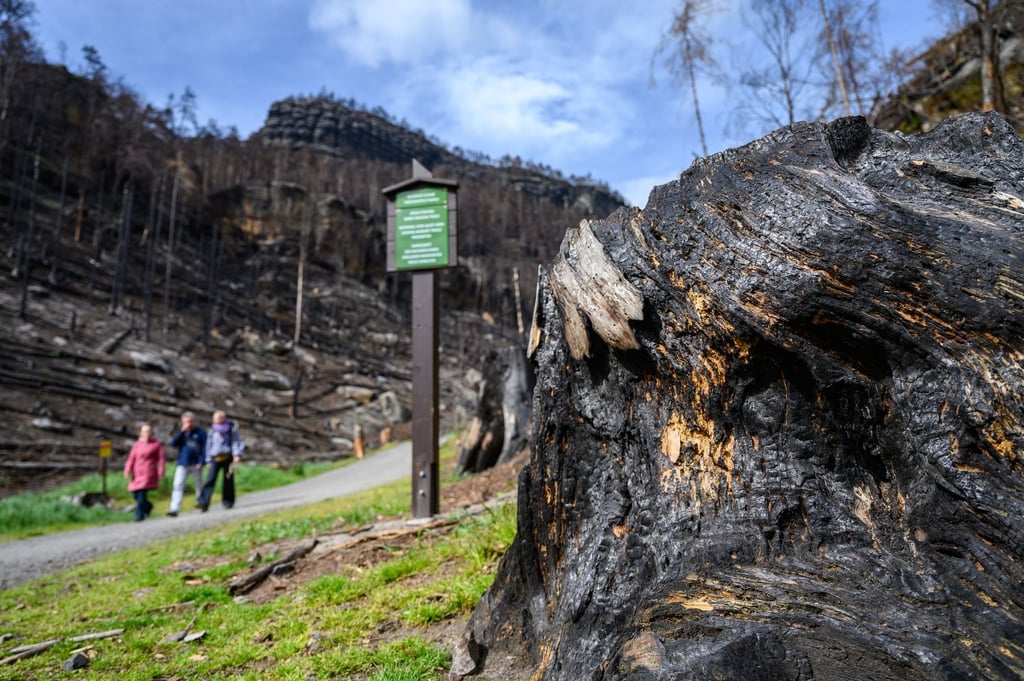 Eine neue Wanderroute verbindet künftig zwei Nationalparks und zwei Länder. (Archivbild)