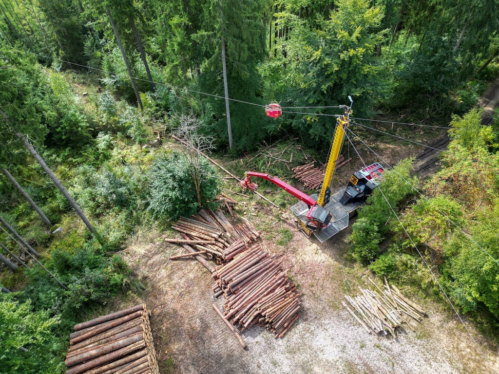 Holzarbeiten am Steilhang im Erzgebirge - in unwegsamem Gelände kommt auch ein spezieller Seilkran zum Einsatz.