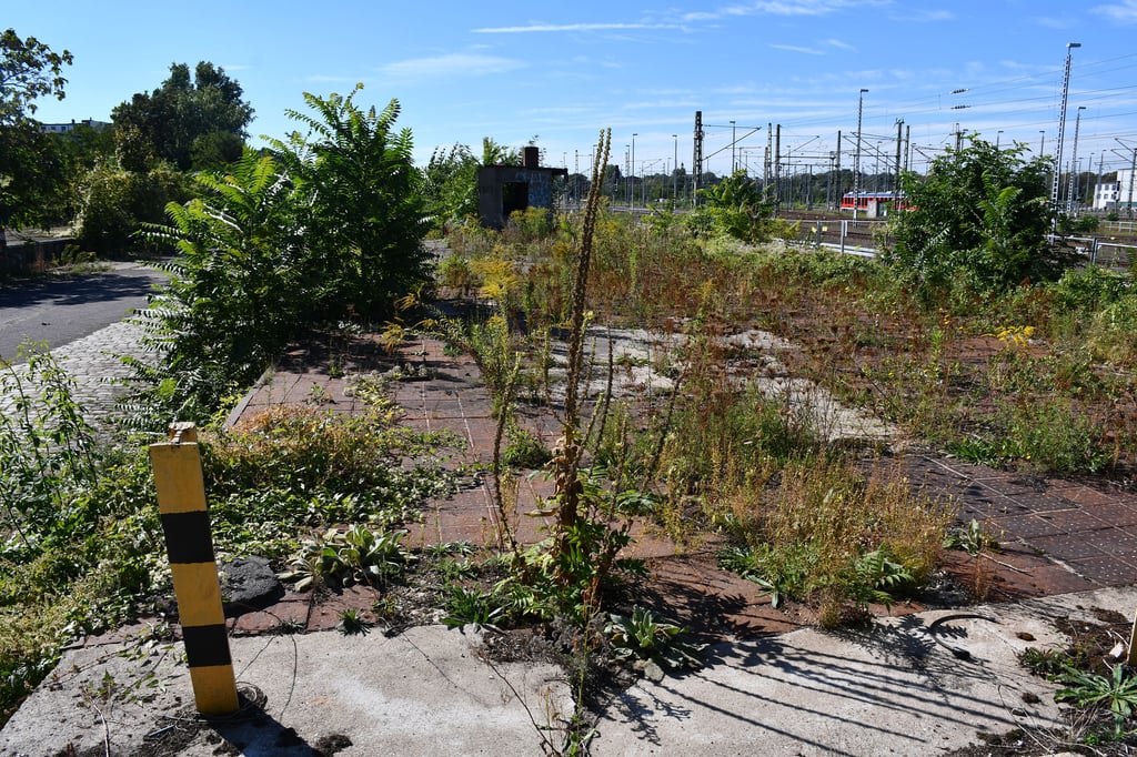 Die Brachen entlang der Bahnstrecke in Magdeburg könnten vom Land bebaut werden.