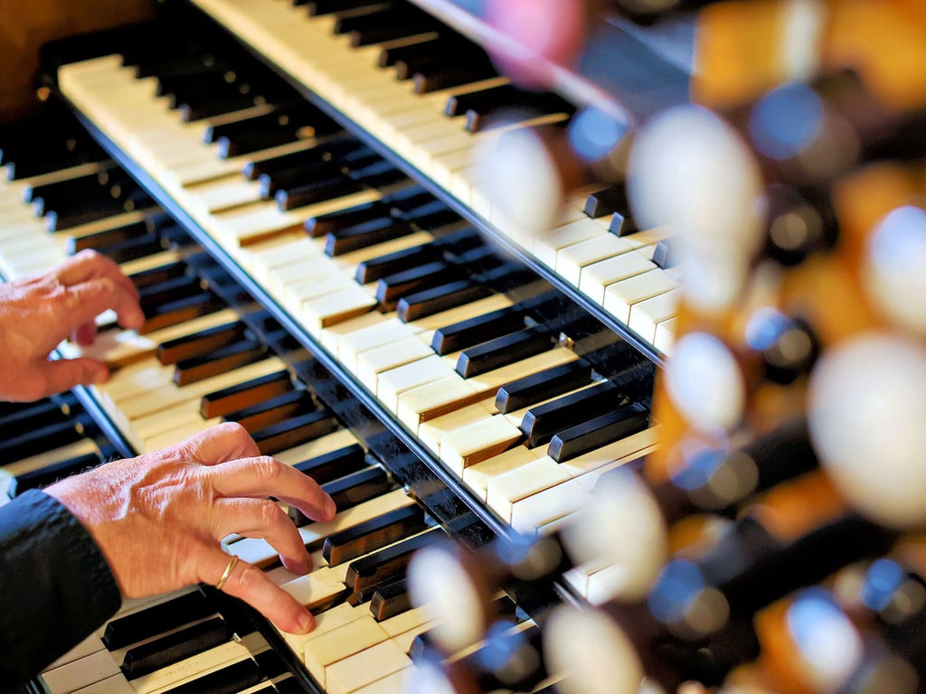Michael Schönheit, künstlerischer Leiter der Merseburger Orgeltage, spielt die Ladegast-Orgel im Dom zu Merseburg.