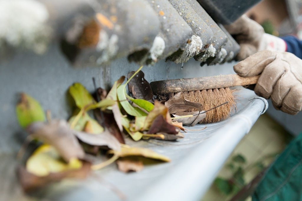 Herbstlaub kann Regenrinnen verstopfen: Eine regelmäßige Kontrolle und Reinigung sind wichtig.