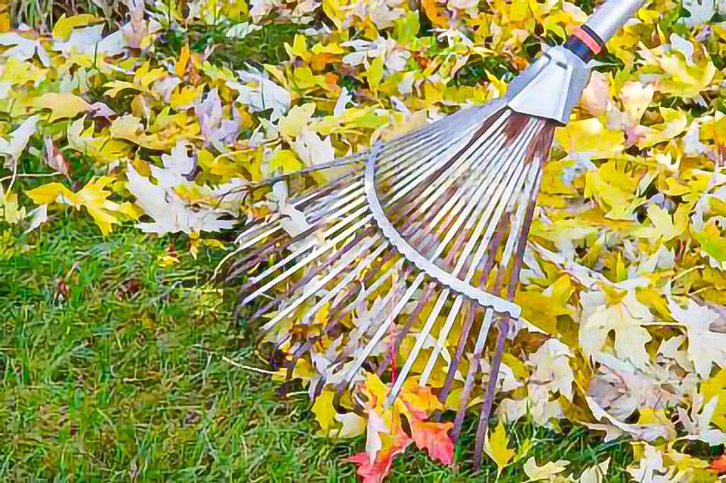 Nicht nur die Laubentfernung im Herbst macht viel Arbeit.