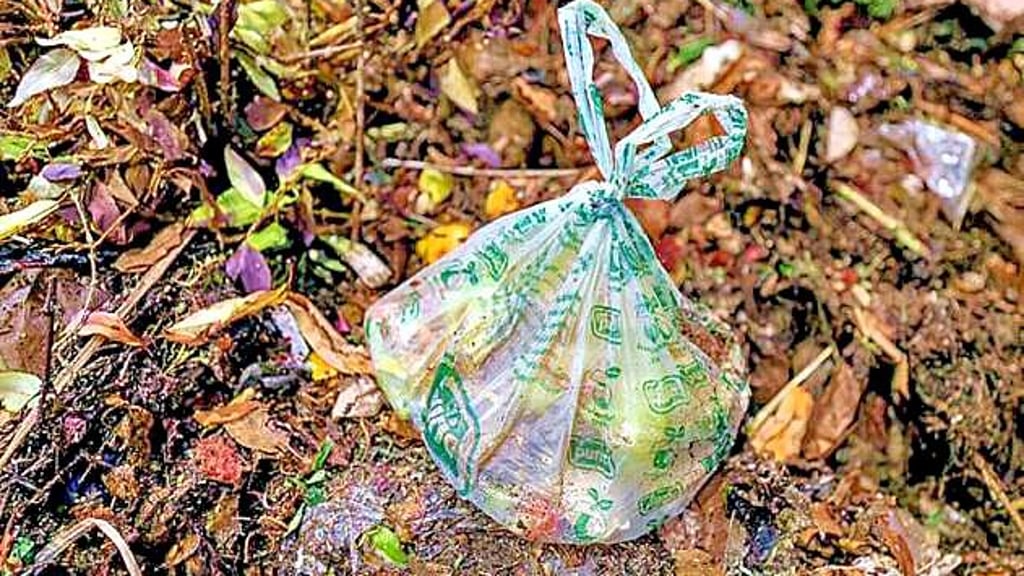 Für Biomüll gelten verschärfte Regeln. Tüten aus Platik gehören nicht hinein, auch nicht vermeintliche kompostierbare Plastiktüten.