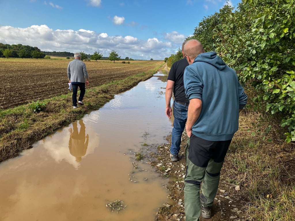 Von Pansfelde führt ein Feldweg nach Stangerode. Er wird land- und forstwirtschaftlich ebenso genutzt wie von Radfahrern und Wanderern. Wenn es regnet, sammelt sich in großen Senken das Wasser und macht den Weg stellenweise kaum passierbar.