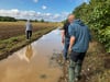 Von Pansfelde führt ein Feldweg nach Stangerode. Er wird land- und forstwirtschaftlich ebenso genutzt wie von Radfahrern und Wanderern. Wenn es regnet, sammelt sich in großen Senken das Wasser und macht den Weg stellenweise kaum passierbar.