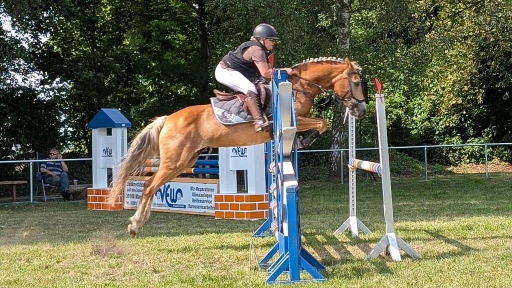 Bente Florentin Braumann überwindet auf dem Rücken von Nele die Hindernisse. Auch im Calvörder Grieps werden Reiterin und Pferd am 13. September für den gastgebenden Verein an den Start gehen.