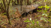 Das Hauptlager wurde in einem dichten Wald auf der Nordinsel entdeckt.