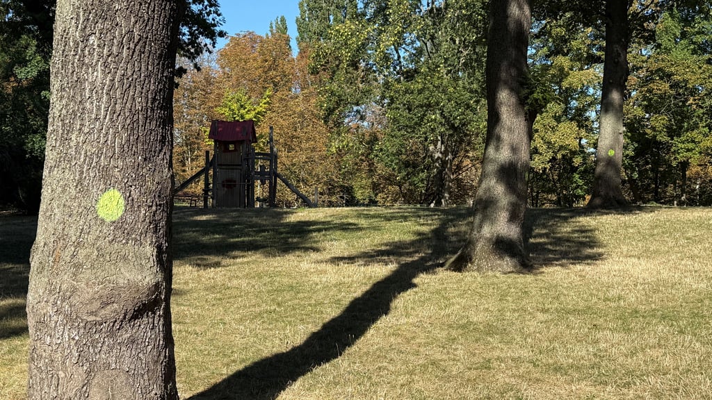 Vor einigen Wochen sind im Park auf dem Millerberg an mehreren Bäumen verschiedene Markierungen aufgetaucht.