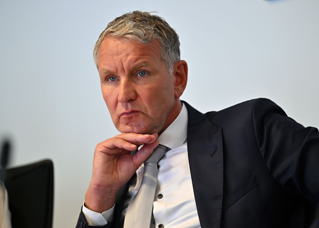 Thüringens AfD-Fraktionschef Björn Höcke will ein Remigrationsprogramm in Thüringen und in Deutschland.