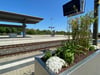 Halberstadts Hauptbahnhof wurde in den vergangenen Monaten umfassend auf Vordermann gebracht - er ist ist ein „Zukunftsbahnhof“. Nur Züge fehlen im Moment allzuoft.