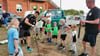 Die Sportvereine pflanzen gemeinsam im Rahmen der Baumpflanz Challenge Bäume.