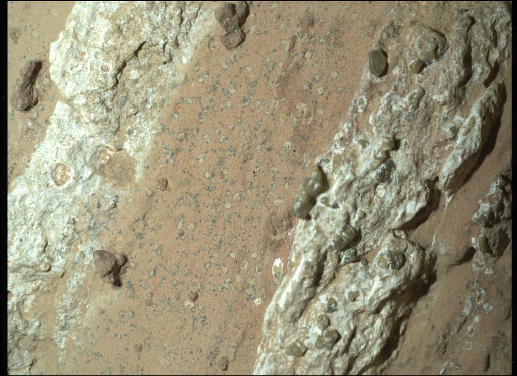 Eine vom Nasa-Rover „Perseverance“ im vergangenen Jahr auf dem Mars entnommene Gesteinsprobe könnte nach Angaben der US-Raumfahrtbehörde möglicherweise Spuren von früherem mikrobiellen Leben enthalten.