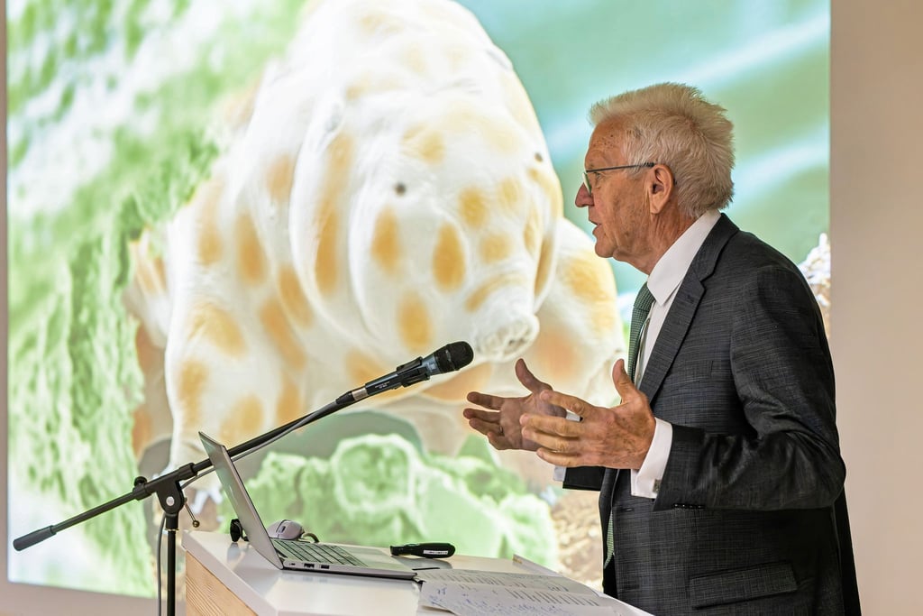Winzig und doch bärenstark: Die neu entdeckte Bärtierchenart „Ramazzottius kretschmanni“.
