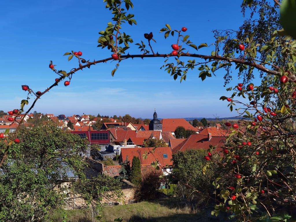Alle Neugierigen sind am 20. September 2025 herzlich eingeladen, das Harzdorf Timmenrode zu Fuß zu erkunden: zur fünften Auflage des Timmenröder Dorfflohmarktes.