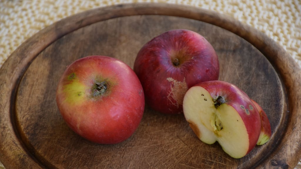 Ein Apfel-Experte kommt zum Pflanzenflohmarkt in Wedderstedt und bestimmt Apfelsorten.