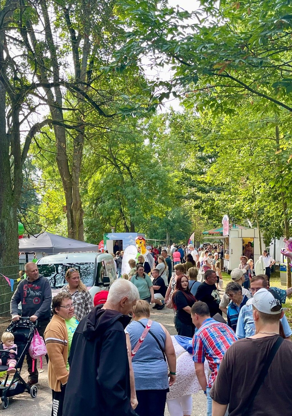 Großes Interesse am Wiesenparkfest in Oschersleben. Die Veranstalter freuen sich über einen Besucherrekord.