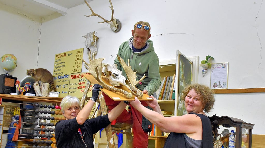 Solveig Thurm, Jan Horejsek und Andrea Lippold-Horejsek (v.l.) nehmen die Geweihe von den Wänden des ehemaligen Klassenzimmers, das sich im Museum Alte Schule befindet.