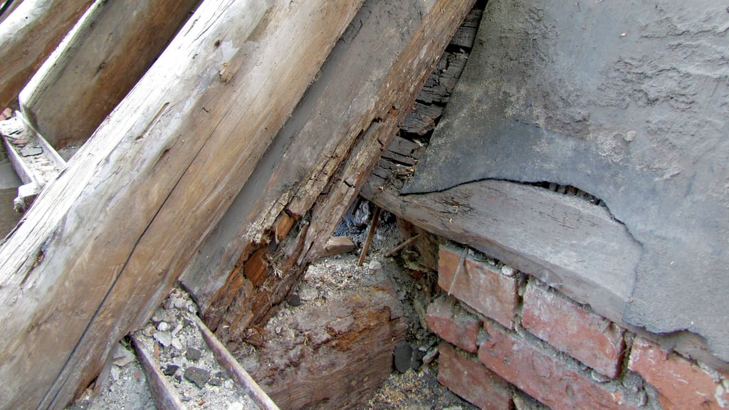 Der Hausschwamm hat sich an verschiedenen Stellen des Daches in die Holzkonstruktion gefressen. Ein Austausch der befallenen Hölzer ist notwendig und treibt die Kosten für die Dachsanierung in die Höhe.
