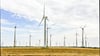 Der Windpark Borne/Biere, hier eine Aufnahme vom August 2023,  ist einer der größten in Sachsen-Anhalt.  