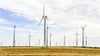 Der Windpark Borne/Biere, hier eine Aufnahme vom August 2023,  ist einer der größten in Sachsen-Anhalt.  