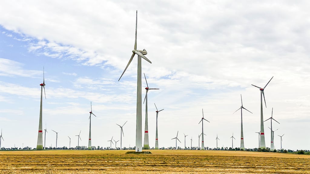 Der Windpark Borne/Biere, hier eine Aufnahme vom August 2023, ist einer der größten in Sachsen-Anhalt.