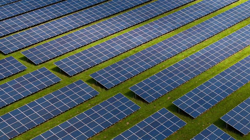 Werden zwischen Bias und Zerbst doch noch Solarmodule errichtet?