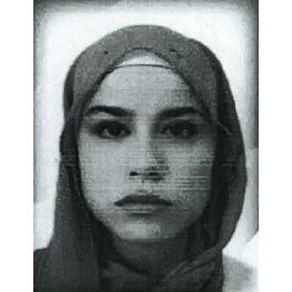In Halle sucht die Polizei derzeit nach Heba H.