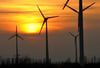 Für neu entstehende Windräder müssen die Betreiber zahlen - hier ein Windpark bei Aschersleben (Salzlandkreis).
