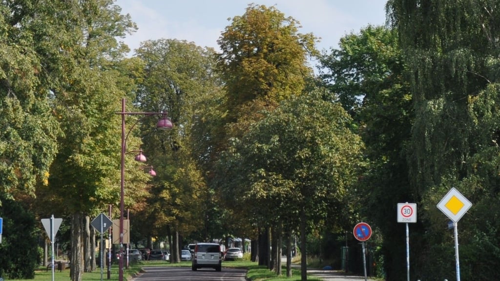 Die Genthiner Bahnhofstraße im September 2025: Noch sind viele Bäume grün, aber langsam verfärbt sich das Laub.