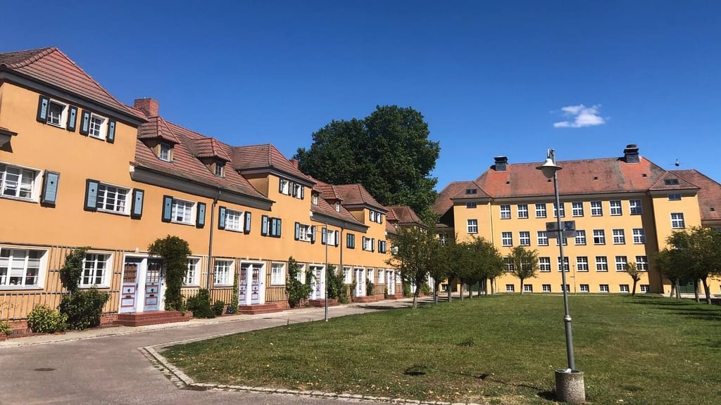 Das Rattenproblem in der Piesteritzer Werkssiedlung besteht immer noch.