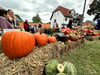 Zum vierten Mal wird in Magdeburg-Diesdorf das Kürbisfest gefeiert. 
