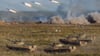 Am Sapad-Manöver 2021 waren 200 000 Soldaten aus Russland und Belarus beteiligt. (Archivbild)