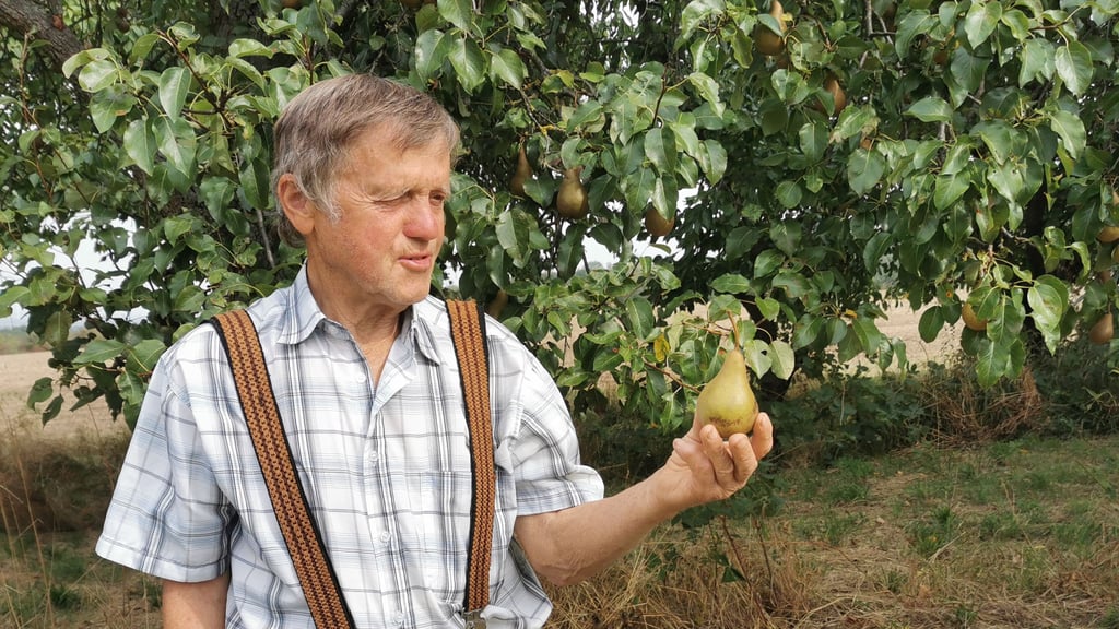 Hartwig Boye hat es sich mit seiner Saftmanufaktur im Huy zur Aufgabe gemacht, alte Obstsorten zu retten.