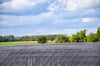 Strom ja, Geld nein: Viele PV-Anlagenbetreiber warten weiter auf ihre Vergütung – Mitnetz spricht von Nachbesserungen. 