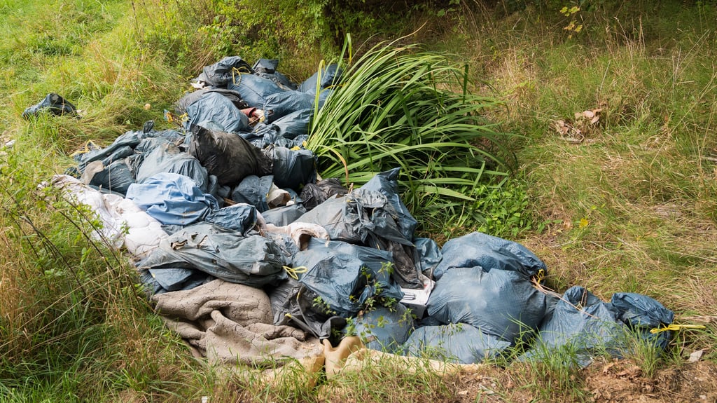 Allein auf diesem Haufen finden sich etwa 40 Säcke mit Haushaltsmüll und Essensresten, die im Bett des Rötegrabens gelandet sind.