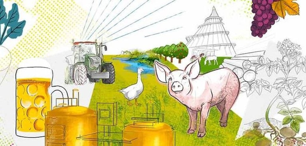 Von Schwein bis Traktor: Buntes Treiben rund um den Jahrtausendturm im Elbauenpark – so feiern Kinder und Familien das Landeserntedankfest im Elbauenpark.
