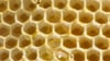 Die Bienensaison 2025 ist vorbei. (Symbolbild)