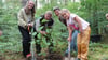 Eine Roteiche wird am Waldkindergarten „Birkenwäldchen“ in Satuelle von Helene Schoppmann (l.), Revierförster Harald Eisenkrätzer, Kitaleiterin Susanne Kricheldorf und Kitakind Helene gepflanzt.