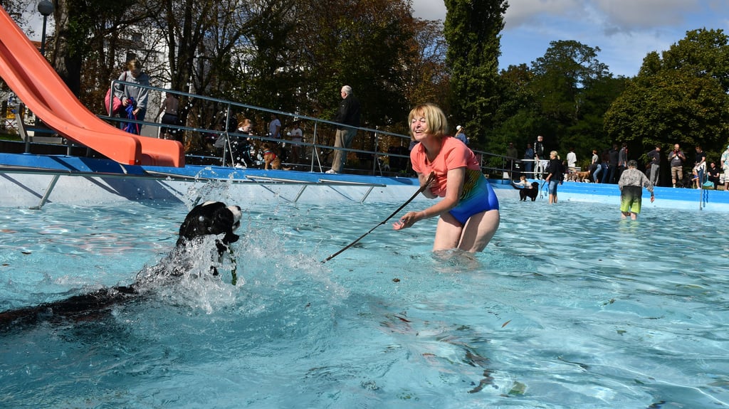Zum Gassischwimmen am Ende der Freibadsaison kamen viele Hundebesucher in das Carl-Miller-Bad in Magdeburg.